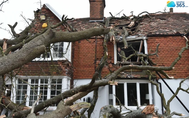 Hurricane breaks trees and damages the roof of the frame house