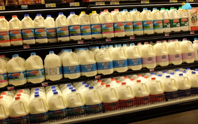 Buy milk and water before a hurricane hits