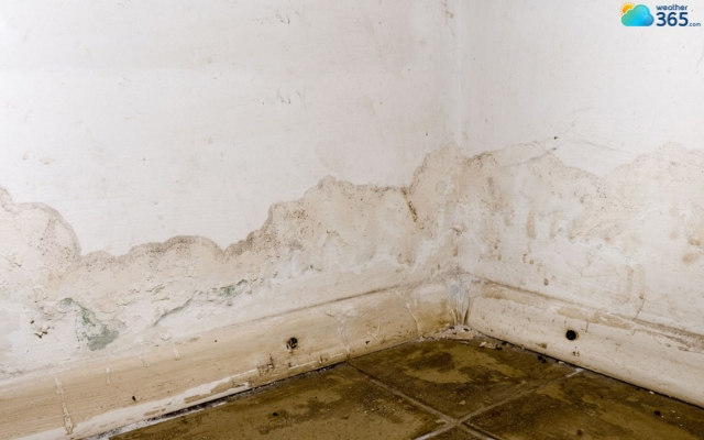 Prevent mold after a hurricane