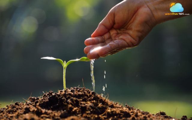  Solution to water conservation