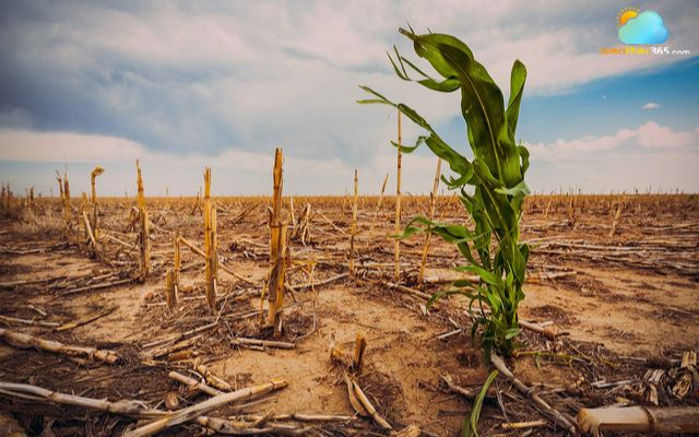 Water shortage can threaten global food security