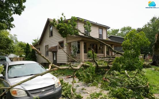 Trees fell into home and car as powerful storm swept Ohio