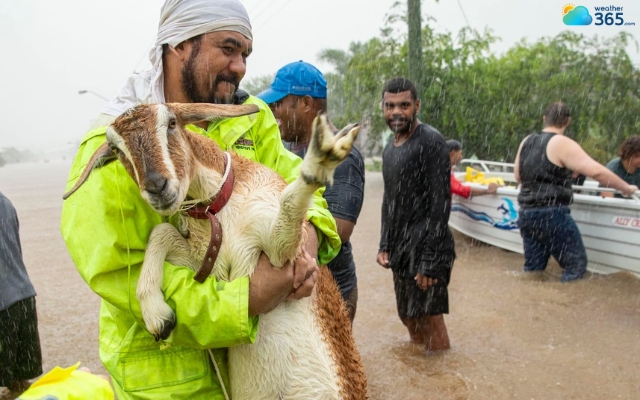 Move pets and livestock to a safer area before a flood