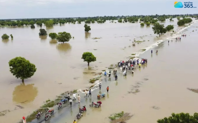 River flood
