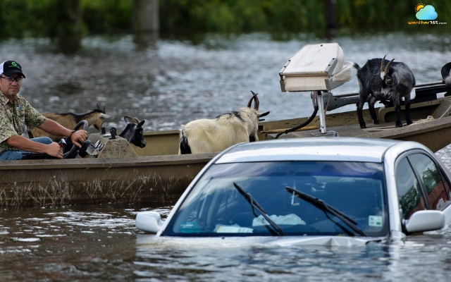 Louisiana flooding
