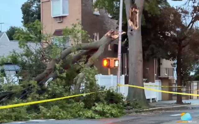 Fallen tree in Brooklyn due to Northeast nor’easter caused 1 fatality